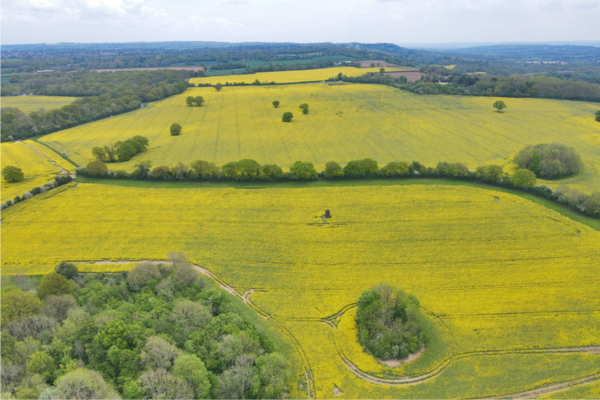 Learning Lease Farming