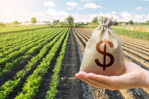 Collaborative Investment Farming