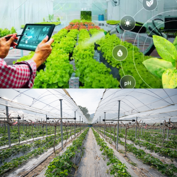 Technology-Assisted Farming