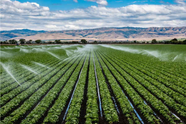 Modern Irrigation Techniques