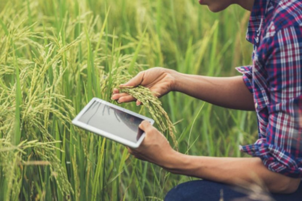 Operational Management