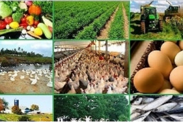 Agro-Based Small Enterprises