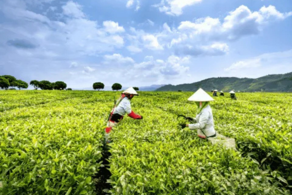 Comprehensive Recruitment