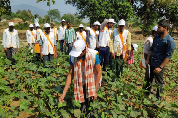 Training and Development